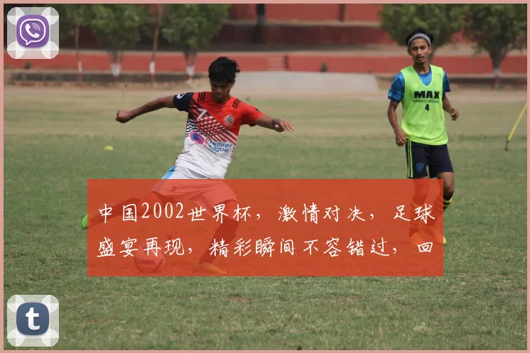 中国2002世界杯，激情对决，足球盛宴再现，精彩瞬间不容错过，回味无穷