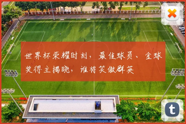 世界杯荣耀时刻，最佳球员、金球奖得主揭晓，谁将笑傲群英