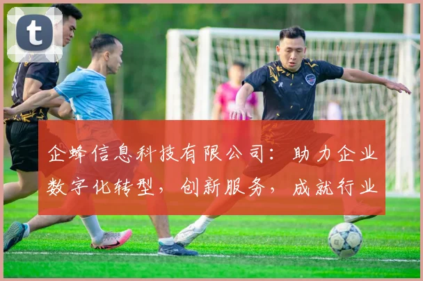 企蜂信息科技有限公司：助力企业数字化转型，创新服务，成就行业标杆，一站式解决方案，共赢未来。