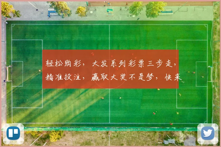 轻松购彩，大发系列彩票三步走，精准投注，赢取大奖不是梦，快来体验